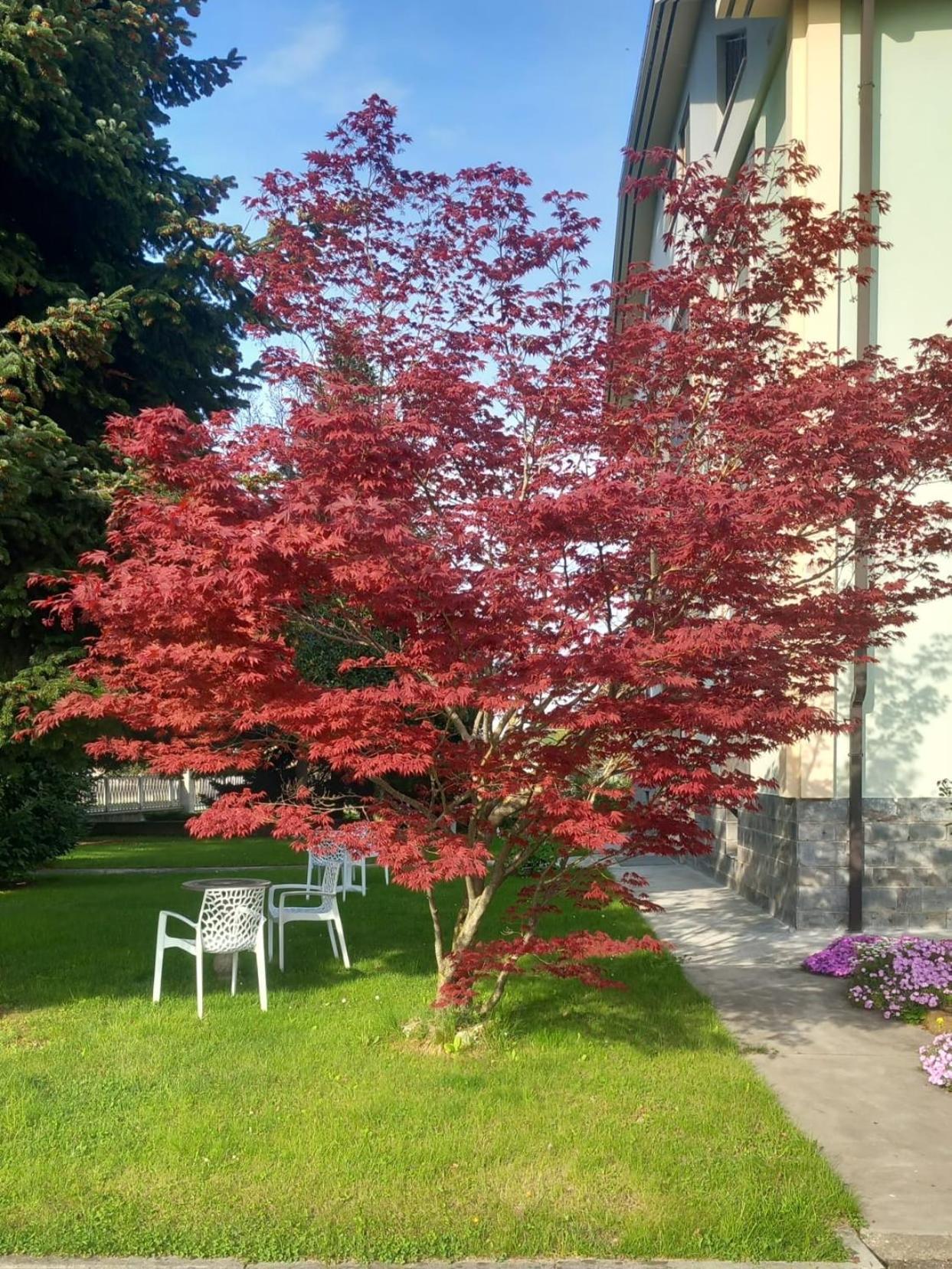 B&B Il Castagno Roccavione ภายนอก รูปภาพ
