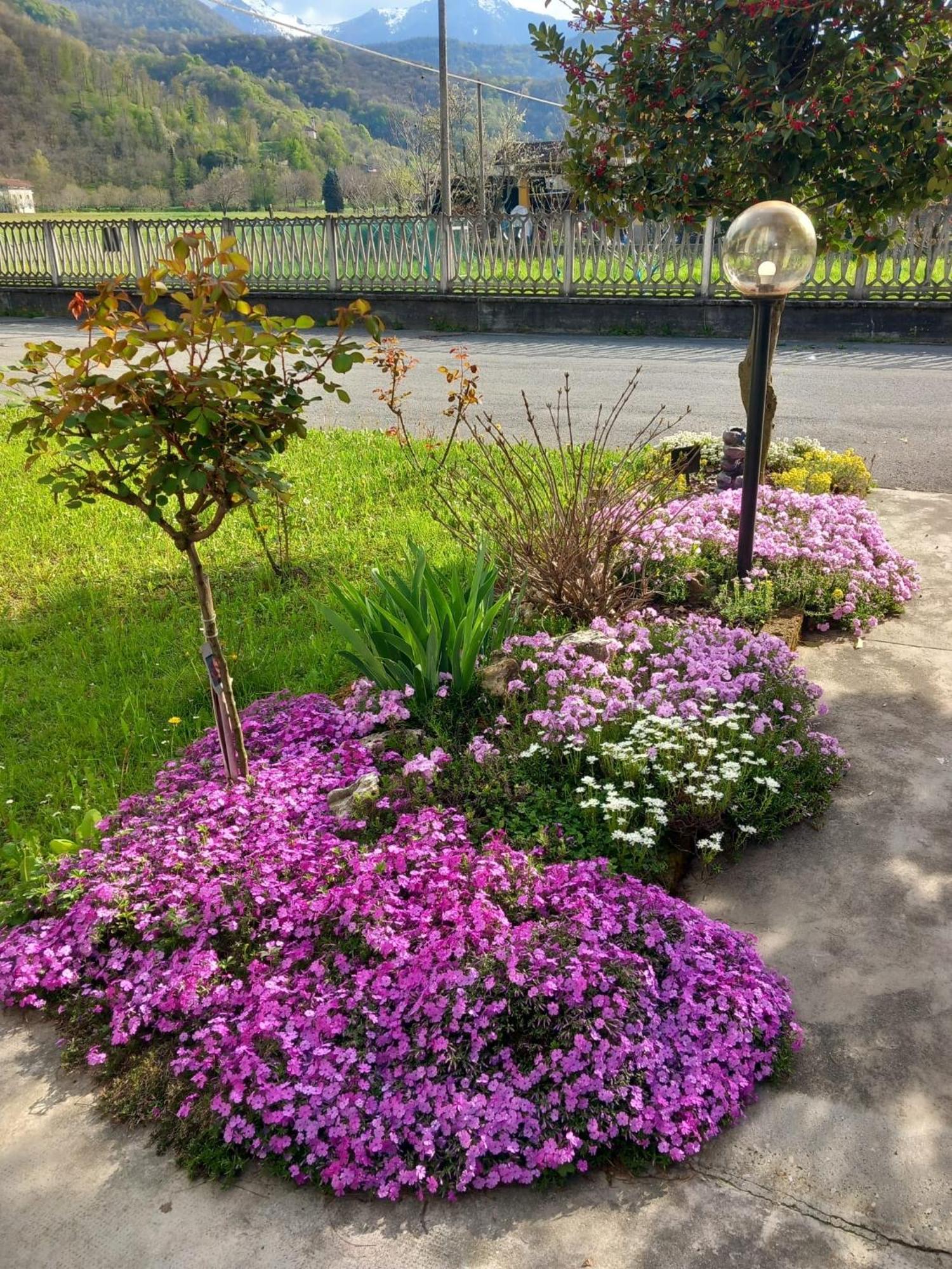 B&B Il Castagno Roccavione ภายนอก รูปภาพ